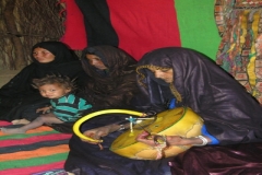 Practices and knowledge related to the Imzad